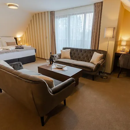 Wellness Demänová Hotell