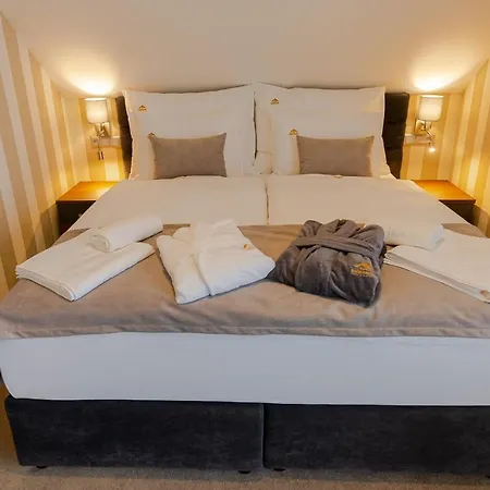 Demaenova **** Hotel Liptovsky Mikulas