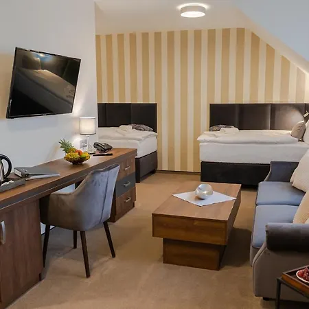 Wellness Demaenova 4* Liptovský Mikuláš