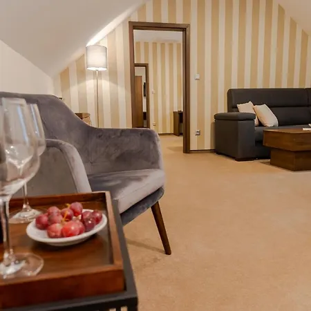 Wellness Demänová Hotell 4*