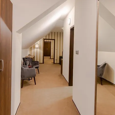 Demaenova **** Hotel Liptovsky Mikulas