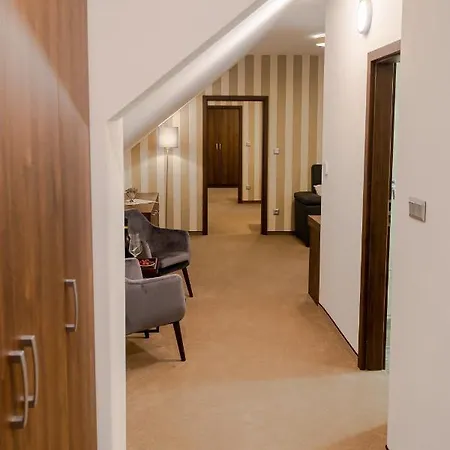 Wellness Demänová 4*