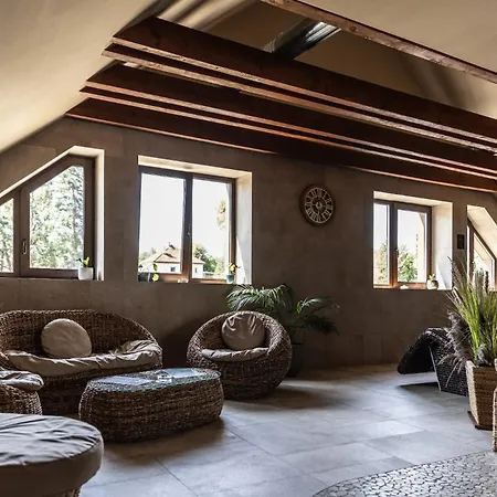 Hotel Wellness Demaenova