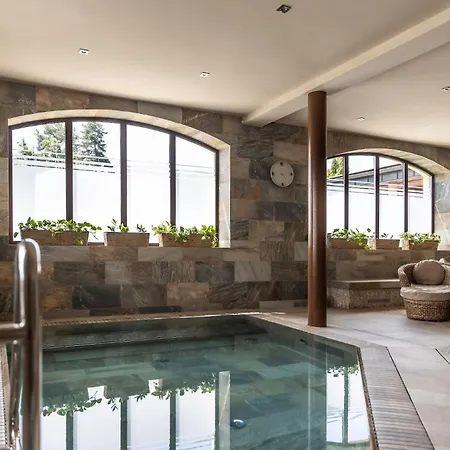Wellness Demaenova 호텔 4*