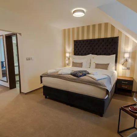 Hotel Wellness Demaenova Liptovský Mikuláš