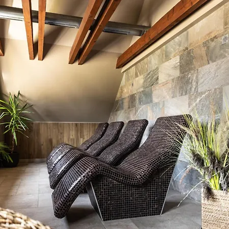 Wellness Demaenova 4* Liptovský Mikuláš