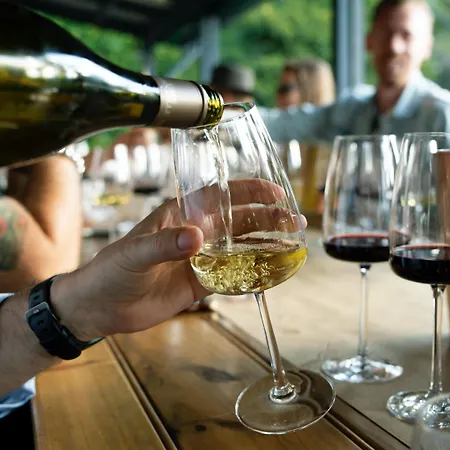 Hotel Wellness Demaenova 4*