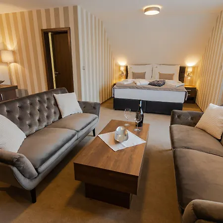 Hotel Wellness Demaenova 4*