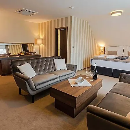 Wellness Demaenova Szálloda 4*