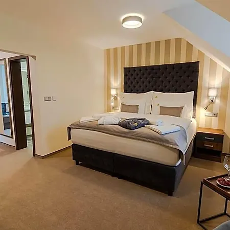 Szálloda Wellness Demaenova 4*